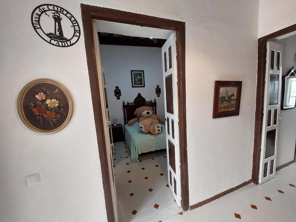 Casa Madre Gelart Patrimonio Gaditano Del Siglo XIX San Fernando Buitenkant foto