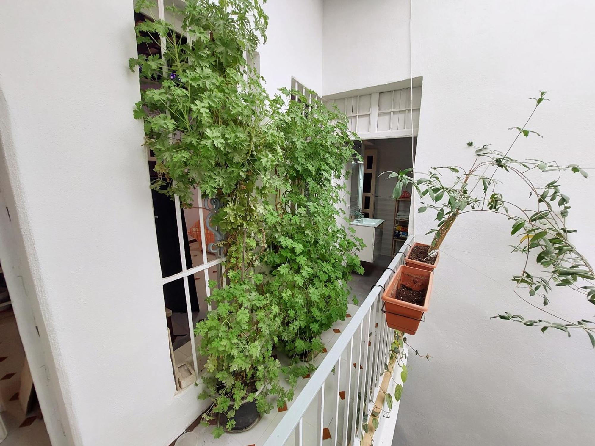 Casa Madre Gelart Patrimonio Gaditano Del Siglo XIX San Fernando Buitenkant foto